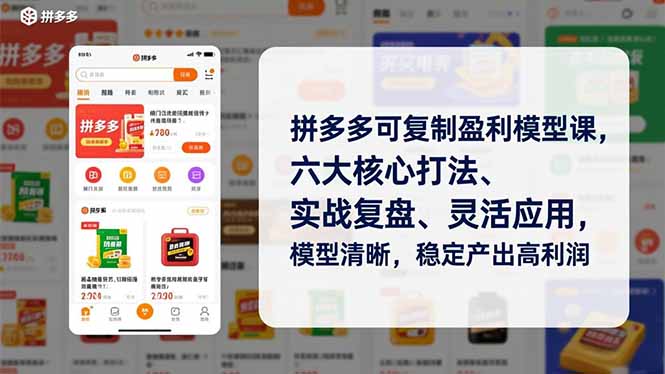 （16952期）拼多多可复制盈利模型课，六大核心打法、实战复盘、灵活应用，模型清晰，稳定产出高利润-九节课