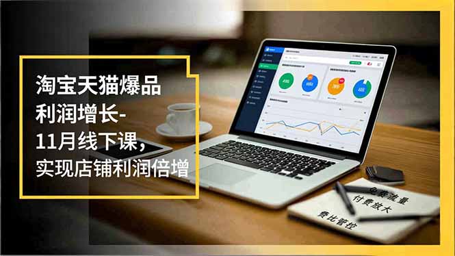(16824期)淘宝天猫爆品利润增长-11月线下课,免费流量、付费放大、费比管控,实现店铺利润倍增-九节课
