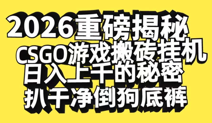 2026开年重磅解密，CSGO游戏搬砖挂机日入上千的秘密，把倒狗的底裤扒干-九节课