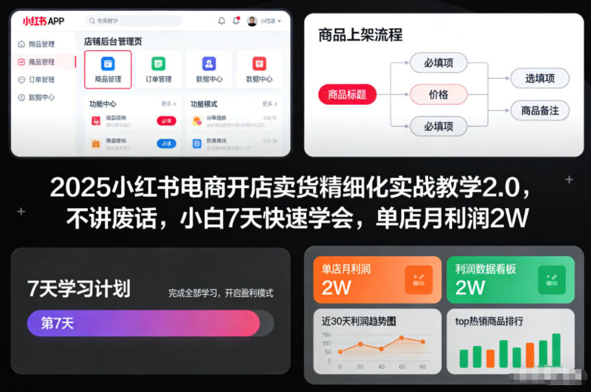 2025小红书电商开店卖货精细化实战教学2.0，不讲废话，小白7天快速学会，单店月利润2W-九节课