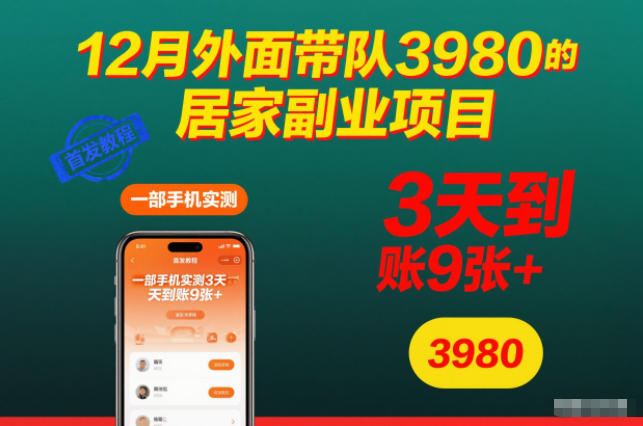 12月外面带队3980的居家副业项目,一部手机实测3天到账9张+,首发教程【揭秘】-九节课