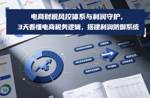 电商财税风控体系与利润守护，3天看懂电商税务逻辑，搭建利润防御系统-九节课