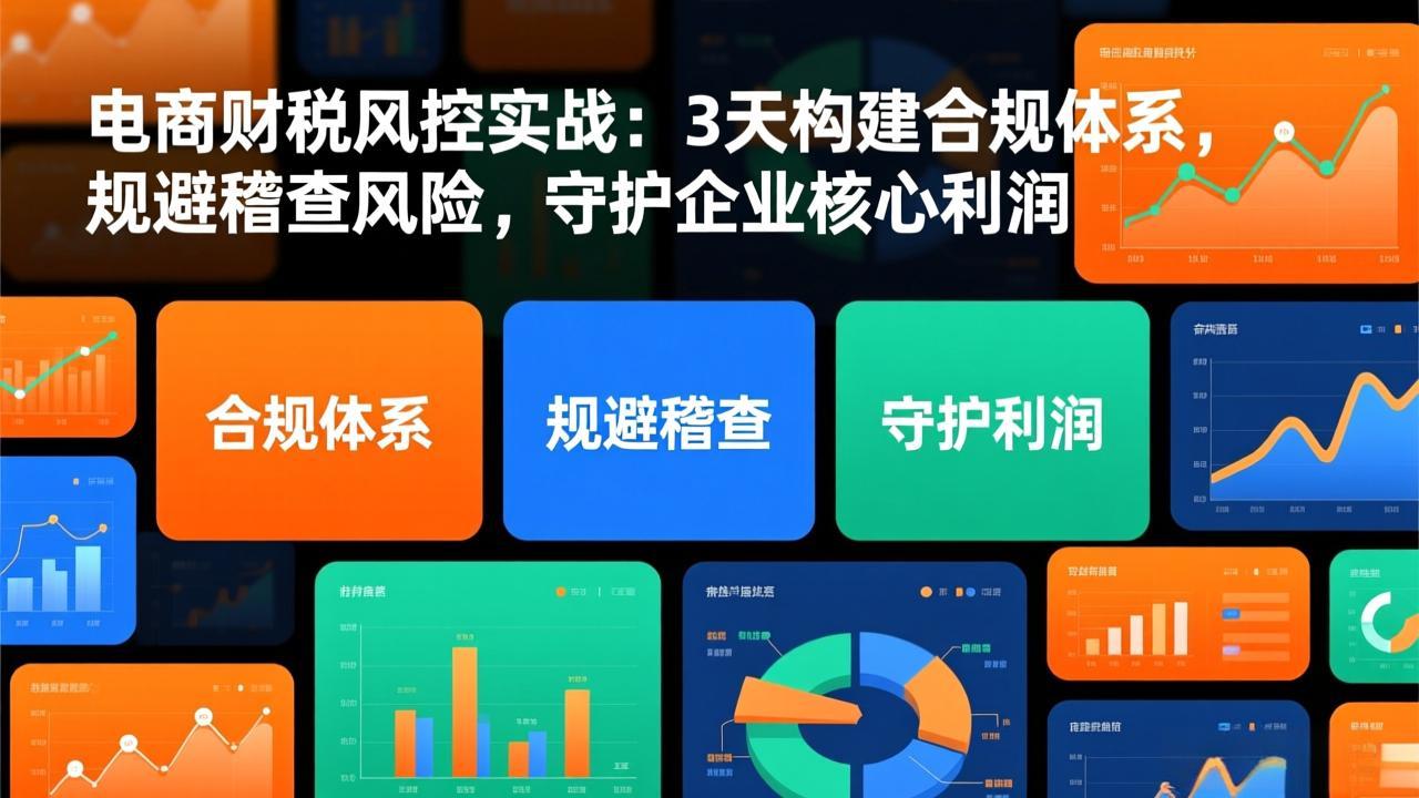 （17197期）电商财税风控实战：3天构建合规体系，规避稽查风险，守护企业核心利润-九节课