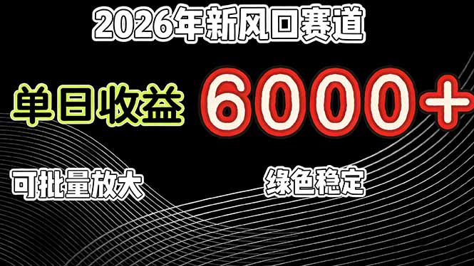 （17135期）2026年新风口赛道，当日6000+以上，可批量放大，月收入20万+，长期绿色稳定的项目-九节课