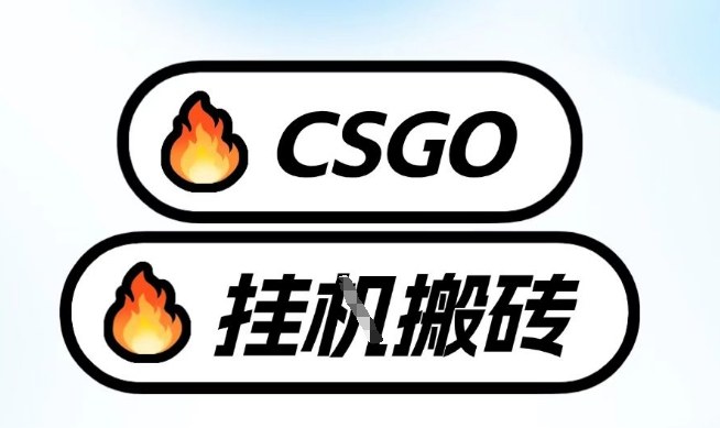真全网独家CSGO挂G，最新玩法,单日捡漏1K+，不用电脑，不用打游戏【揭秘】-九节课