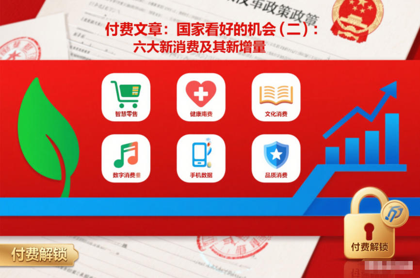 付费文章：国家看好的机会(二)：六大新消费及其新增量-九节课