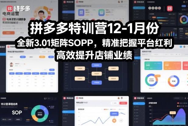 拼多多特训营12-1月份，全新3.01矩阵Sop，精准把握平台红利，高效提升店铺业绩-九节课