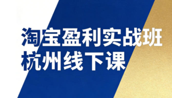 淘宝盈利实战班杭州线下课12月26-28日（音频+字幕），帮你掌握SOP流程+12门核心技术-九节课