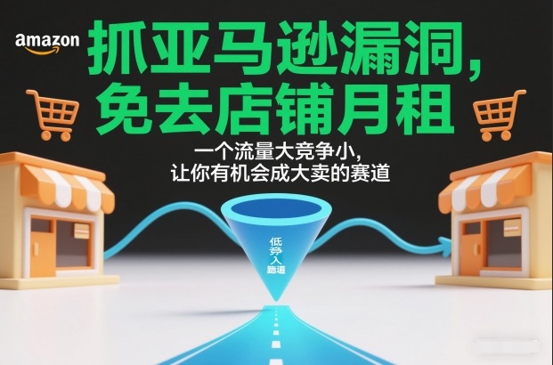 抓亚马逊漏洞，免去店铺月租，一个流量大竞争小，让你有机会成大卖的赛道-九节课