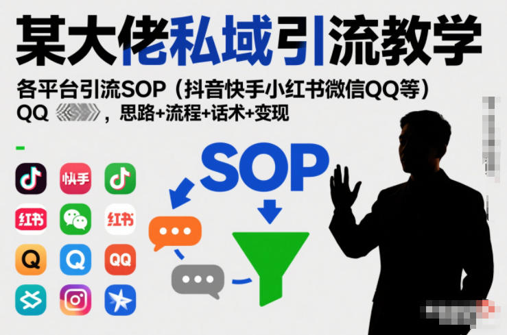 某大佬私域引流教学，各平台引流SOP（抖音快手小红书微信QQ等），思路+流程+话术+变现-九节课