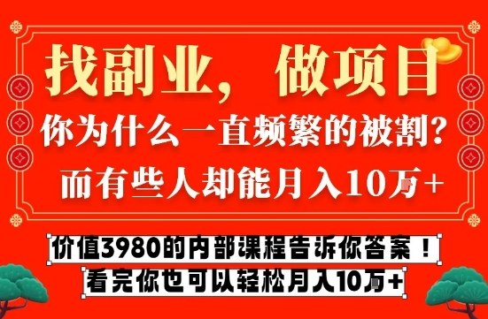 价值3980的网创内部课程，告诉你互联网创业月入10个W的秘密【揭秘】-九节课