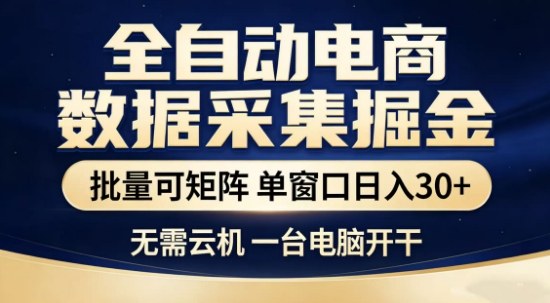 独家电商数据全自动采集项目，批量可矩阵，单窗口轻松日入3张+【揭秘】-九节课