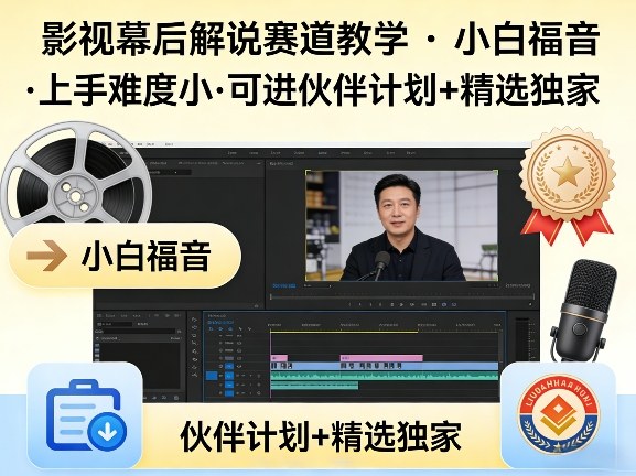 某大佬的影视幕后解说赛道教学,小白福音,上手难度小,可进伙伴计划+精选独家-九节课