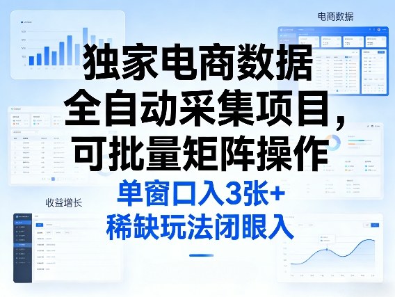 独家电商数据全自动采集项目，可批量矩阵操作，单窗口日入3张+，稀缺玩法闭眼入【揭秘】-九节课