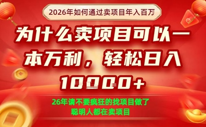 一单净利润1K+，26年想年入100个W，死磕卖项目就够了【揭秘】-九节课
