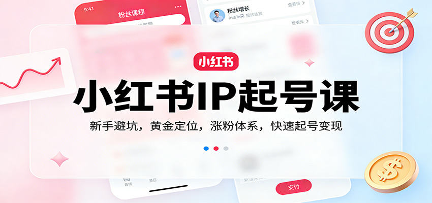 小红书IP起号课：新手避坑，黄金定位，涨粉体系，快速起号变现-九节课
