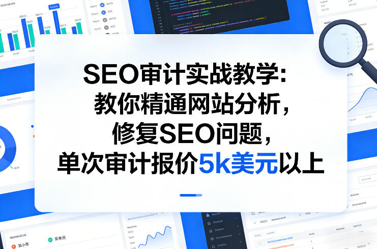 SEO审计实战教学：教你精通网站分析，修复SEO问题，单次审计报价5k美元以上-九节课