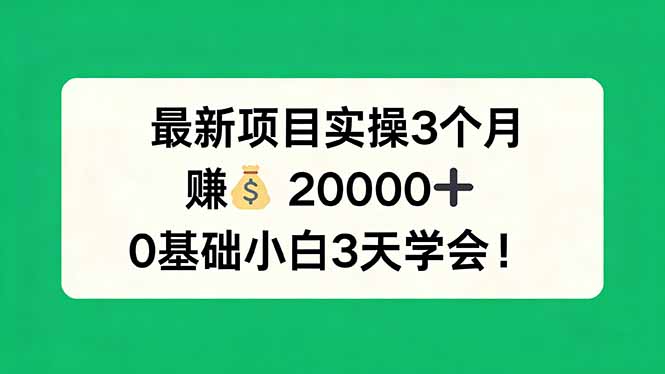 （17856期）最新项目实操3个月，赚钱20000+，0基础小白3天学会！-九节课