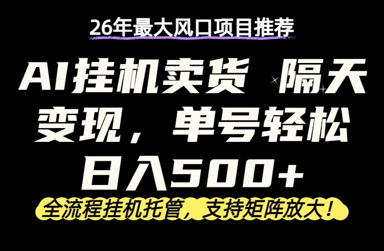 （17933期）26年最新AI挂机卖货，隔天出收益，单账号轻松日入500+-九节课