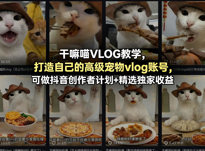 干嘛喵VLOG教学，打造自己的高级宠物vlog账号，可做抖音创作者计划+精选独家收益-九节课