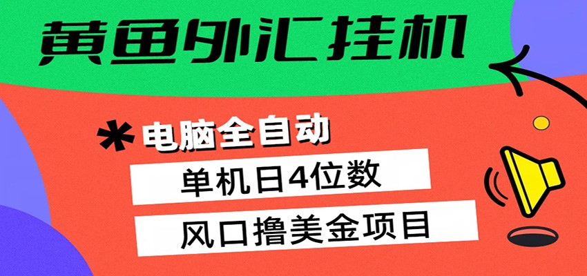 黄鱼外汇挂机：全自动赚美金、自动交易、风口项目-九节课