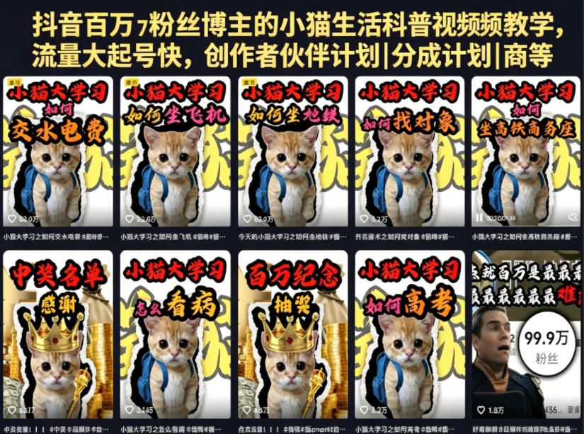 抖音百万粉丝博主的小猫生活科普视频教学，流量大起号快，创作者伙伴计划|分成计划|商单|收徒等-九节课