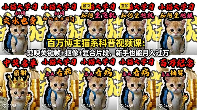 （18595期）百万博主猫系科普视频课：剪映关键帧+抠像+复合片段，新手也能月入过万-九节课