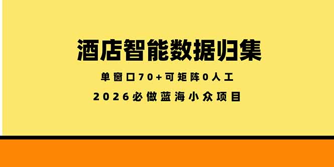 （18500期）酒店智能数据归集，小众蓝海已经稳定半年之久，单窗口70+零成本矩阵开干-九节课