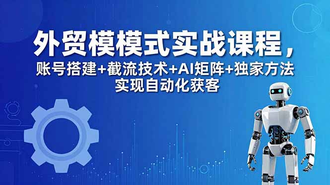 （18367期）外贸新模式实战课程-更新5月，账号搭建+截流技术+AI矩阵+独家方法实现自动化获客-九节课