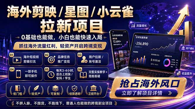 （18567期）海外剪映 / 星图 / 小云雀拉新项目 普通人也能上手的跨境流量变现副业-九节课