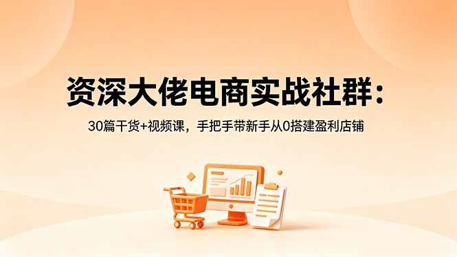 （18529期）资深大佬电商实战社群：30篇干货+视频课，手把手带新手从0搭建盈利店铺-九节课