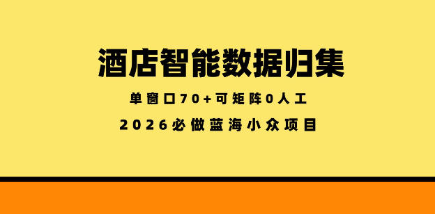 酒店智能数据归集，小众蓝海已经稳定半年之久，单窗口70+零成本矩阵开干【揭秘】-九节课
