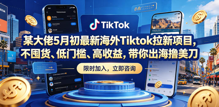 某大佬5月初最新海外Tiktok拉新项目，不囤货、低门槛、高收益，带你出海撸美刀-九节课