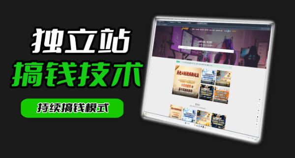 干货来袭！麦子甜带你吃透独立站｜从搭建到引流一站式教学《独立站》第一期-九节课
