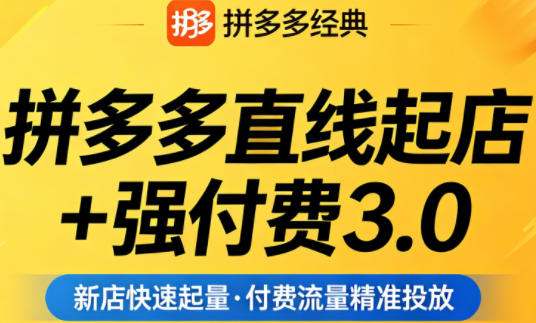 拼多多直线起店+强付费3.0，教你稳定起店、高效控投产、破解流量瓶颈（更新4月）-九节课