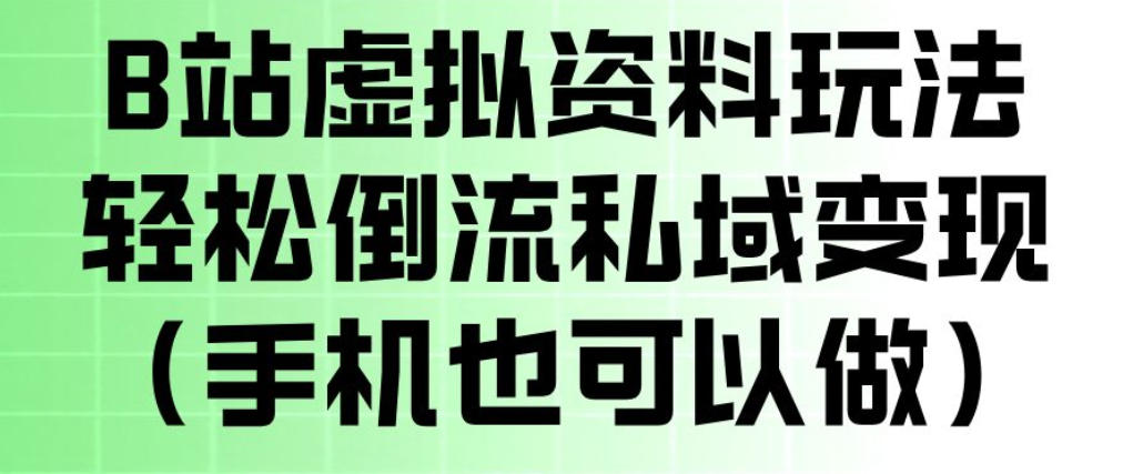 B站虚拟资料玩法，轻松倒流私域变现，一部手机就可以做-九节课