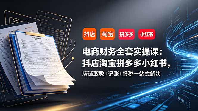 （19001期）电商财务全套实操课：抖店淘宝拼多多小红书，店铺取数+记账+报税一站式解决-九节课