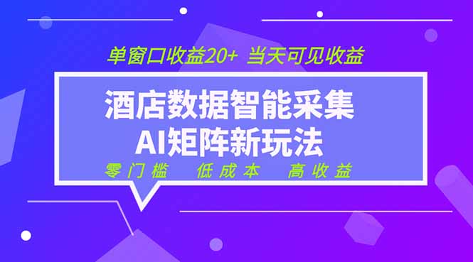 （19041期）2026酒店数据采集ai智能矩阵新风口  低成本   高收益   当天见收益   单窗口20+-九节课