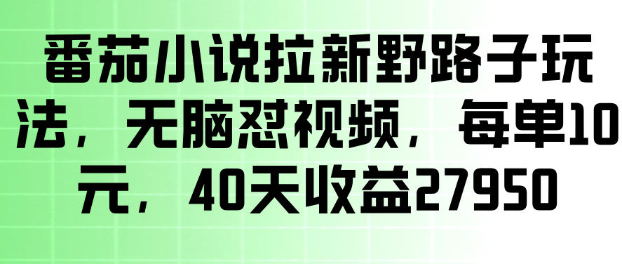 番茄小说拉新野路子玩法，无脑怼视频，玩法简单、见效快，每单10米，40天收益27950-九节课