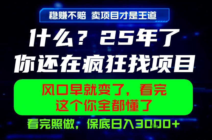 26年，请不要疯狂的找项目做了！卖项目才是真的稳賺不赔，看完照做，保底日入1k+【揭秘】-九节课