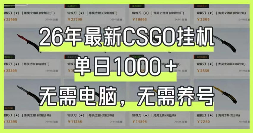 26年最新CSGO挂G系统，单日1000+，无需电脑，无需养号，0基础可上手【揭秘】-九节课