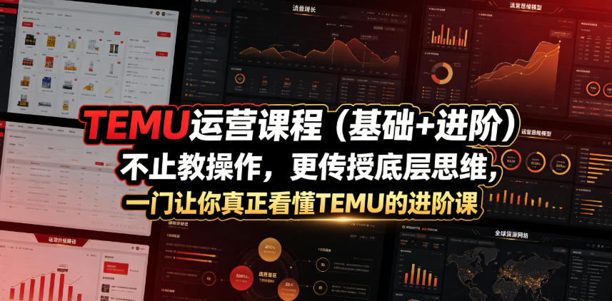 TEMU运营课程（基础+进阶），不止教操作，更传授底层思维，一门让你真正看懂TEMU的进阶课-九节课