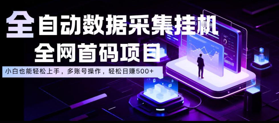 全自动数据采集挂G，全网首码项目，简单易操作，小白也能轻松上手，多账号操作，轻松日入500+【揭秘】-九节课