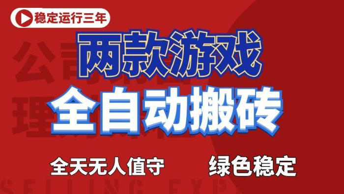 海外游戏全自动搬砖，日入1k+，全天无人值守，绿色稳定！【揭秘】-九节课