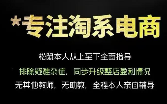 松鼠会电商VIP课程，从基础布局到高阶优化，助你掌握淘宝运营逻辑，提升店铺流量与转化-九节课