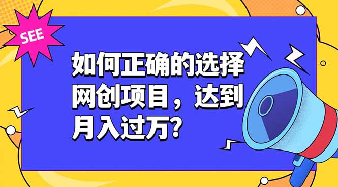 （19176期）如何正确的选择网创项目，达到月入过万？，本课程教你正确选择项目。-九节课