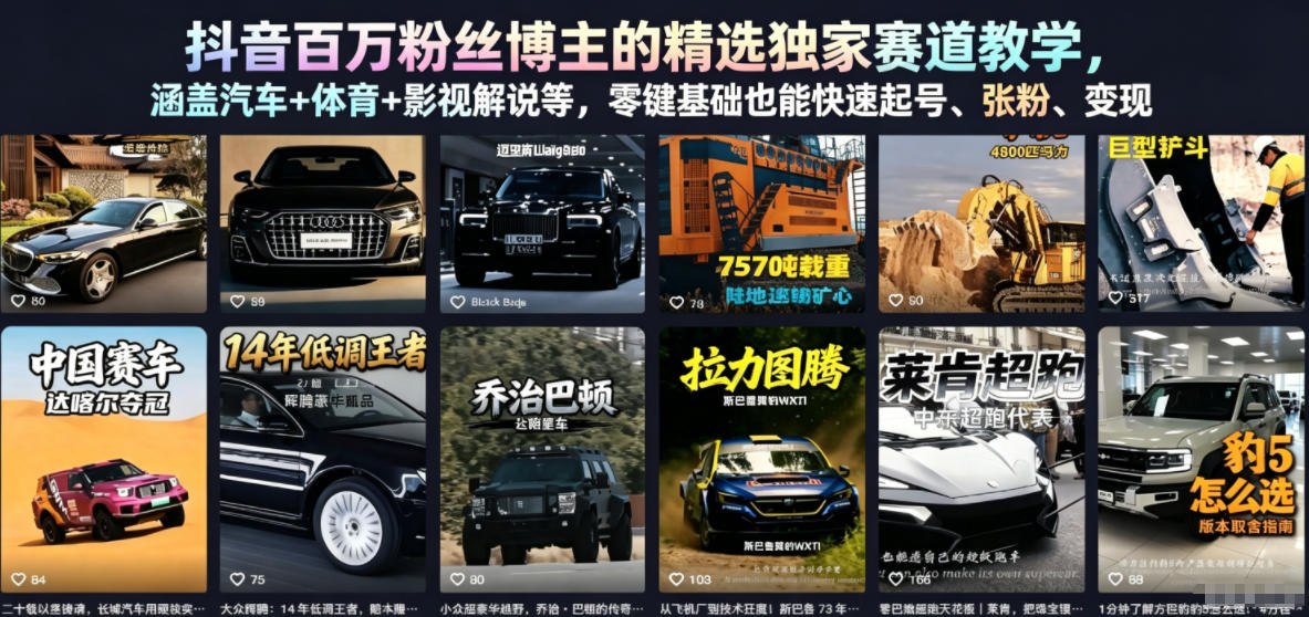 抖音百万粉丝博主的精选独家赛道教学，涵盖汽车+体育+影视解说等，零基础也能快速起号、涨粉、变现（更新0701）-九节课