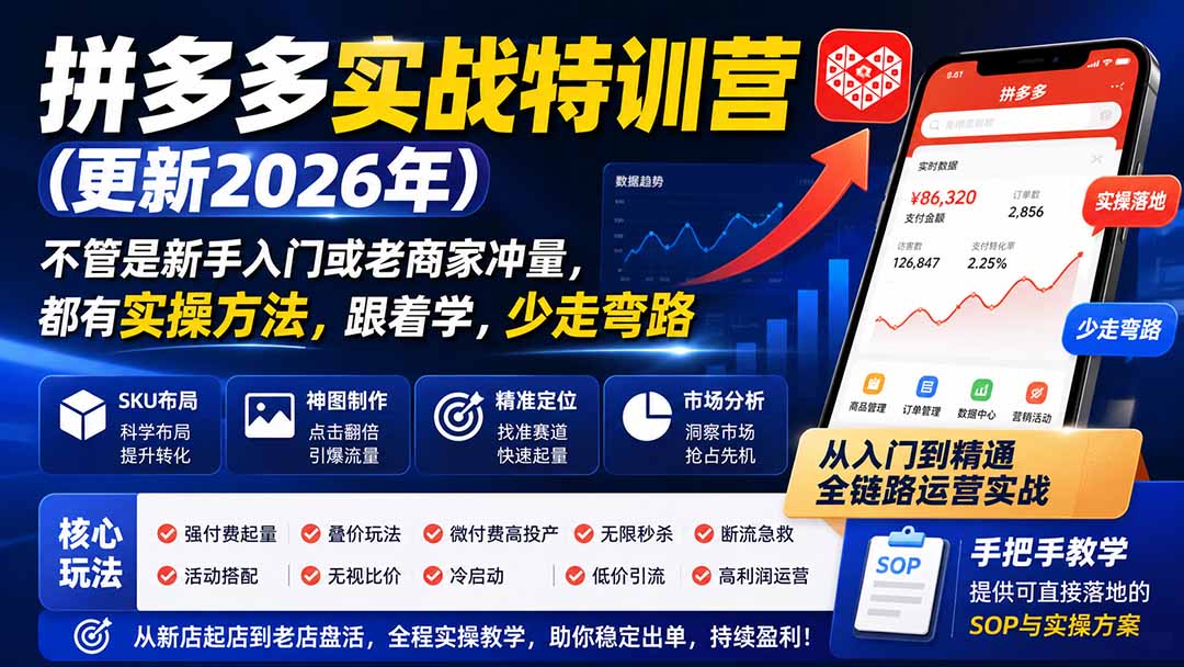 （19744期）拼多多实战特训营(更新2026年)：不管是新手入门或老商家冲量，都有实操方法，跟着学，少走弯路-九节课