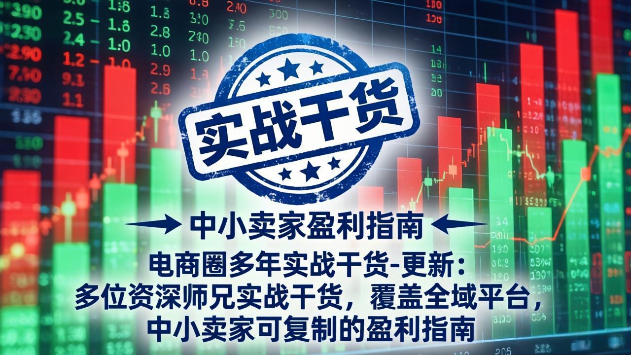 （19761期）电商圈多年实战干货-更新2026：多位资深师兄实战干货/覆盖全域平台，中小卖家可复制的盈利指南-九节课