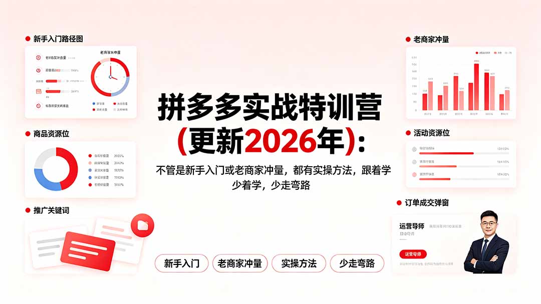 （19724期）拼多多实战特训营(更新2026年)：不管是新手入门或老商家冲量，都有实操方法，跟着学，少走弯路-九节课